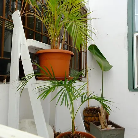 Dom wakacyjny Rooftop Dreamhouse - 3br With Seaviews *
