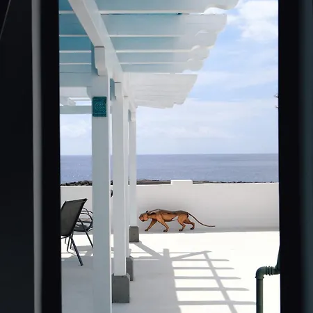 Dom wakacyjny Rooftop Dreamhouse - 3br With Seaviews