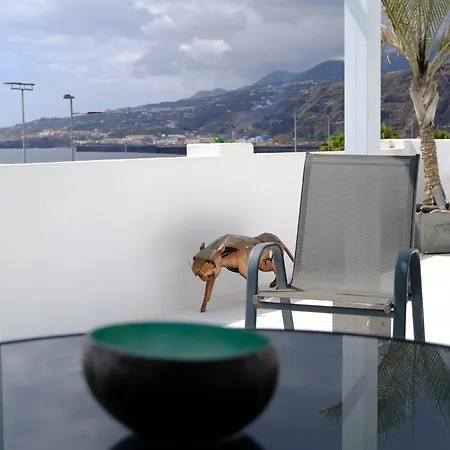 Dom wakacyjny Rooftop Dreamhouse - 3br With Seaviews